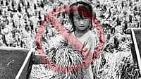 WORLD DAY AGAINST CHILD LABOR | June 12