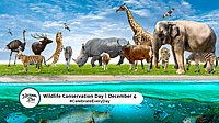 Wildlife Conservation Day