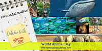 World Animal Day - October 4