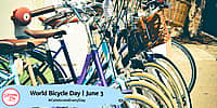 World Bicycle Day | June 3