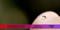 World Malaria Day - April 25