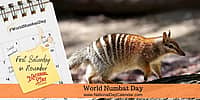 World Numbat Day - First Saturday in November