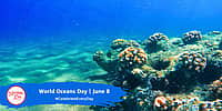 World Oceans Day | June 8