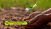 World Soil Day