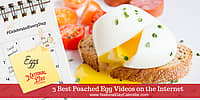 3 Best Poached Egg Videos on the Internet
