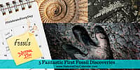 5 Fantastic First Fossil Discoveries