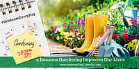 9 Reasons Gardening Improves Our Lives