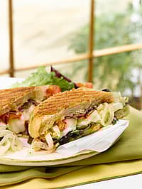 Spicy Caramelized Onion Basil and Roasted Red Pepper Panini