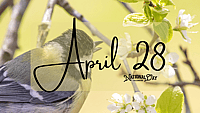 APRIL 28 | Birthdays and Events