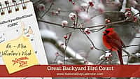 Great Backyard Bird Count - Friday - Monday Valentine's Week