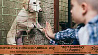 INTERNATIONAL HOMELESS ANIMALS’ DAY – Third Saturday in August