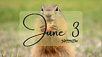 JUNE 3 | Birthdays and Events