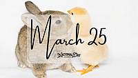 March 25 | Birthdays and Events