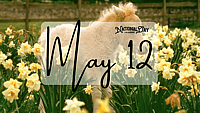 MAY 12 | Birthdays and Events
