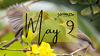 MAY 9 | Birthdays and Events