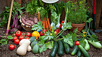 NATIONAL AG DAY | Thursday of Ag Week