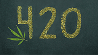 420 DAY  April 20