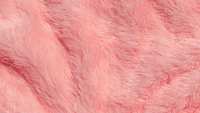 Faux Fur Day