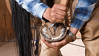 International Hoof Care Week | Begins Third Thursday in January
