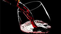 INTERNATIONAL TEMPRANILLO DAY | Second Thursday in November
