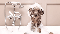 National Bubble Bath Day