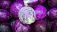 NATIONAL CABBAGE DAY - February 17 