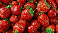 NATIONAL CALIFORNIA STRAWBERRY DAY  March 21