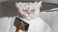 NATIONAL DO A GROUCH A FAVOR DAY - February 16 