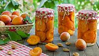 NATIONAL FRUIT COMPOTE DAY  March 1