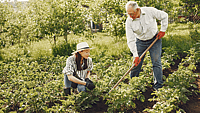 NATIONAL GARDENING EXERCISE DAY  June 6