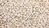 NATIONAL LIMA BEAN RESPECT DAY  April 20