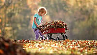 National Little Red Wagon Day | Last Wednesday in March