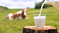 National Milk Day