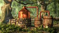 NATIONAL MOONSHINE DAY  June 5