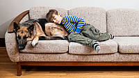 NATIONAL NAPPING DAY  Day After Return of Daylight Saving Time