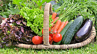 National Non-GMO Month