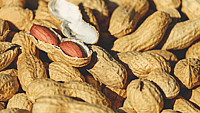 NATIONAL PEANUT DAY  September 13