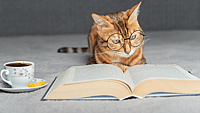 NATIONAL READ A BOOK DAY  September 6