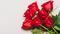 NATIONAL RED ROSE DAY  June 12