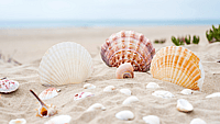 Celebration Image