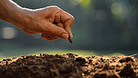 National Seed Swap Day