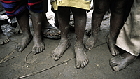 NATIONAL SHOE THE WORLD DAY  March 15