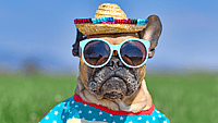 NATIONAL SUNGLASSES DAY  June 27