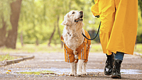 NATIONAL TAKE A WALK IN THE PARK DAY  March 30