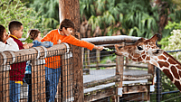 NATIONAL ZOO LOVERS DAY