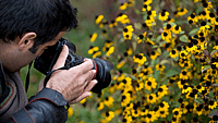NATURE PHOTOGRAPHY DAY  June 15