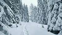 Winter Solstice
