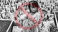 WORLD DAY AGAINST CHILD LABOR | June 12