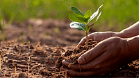 World Soil Day