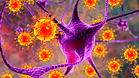 World Meningitis Day
